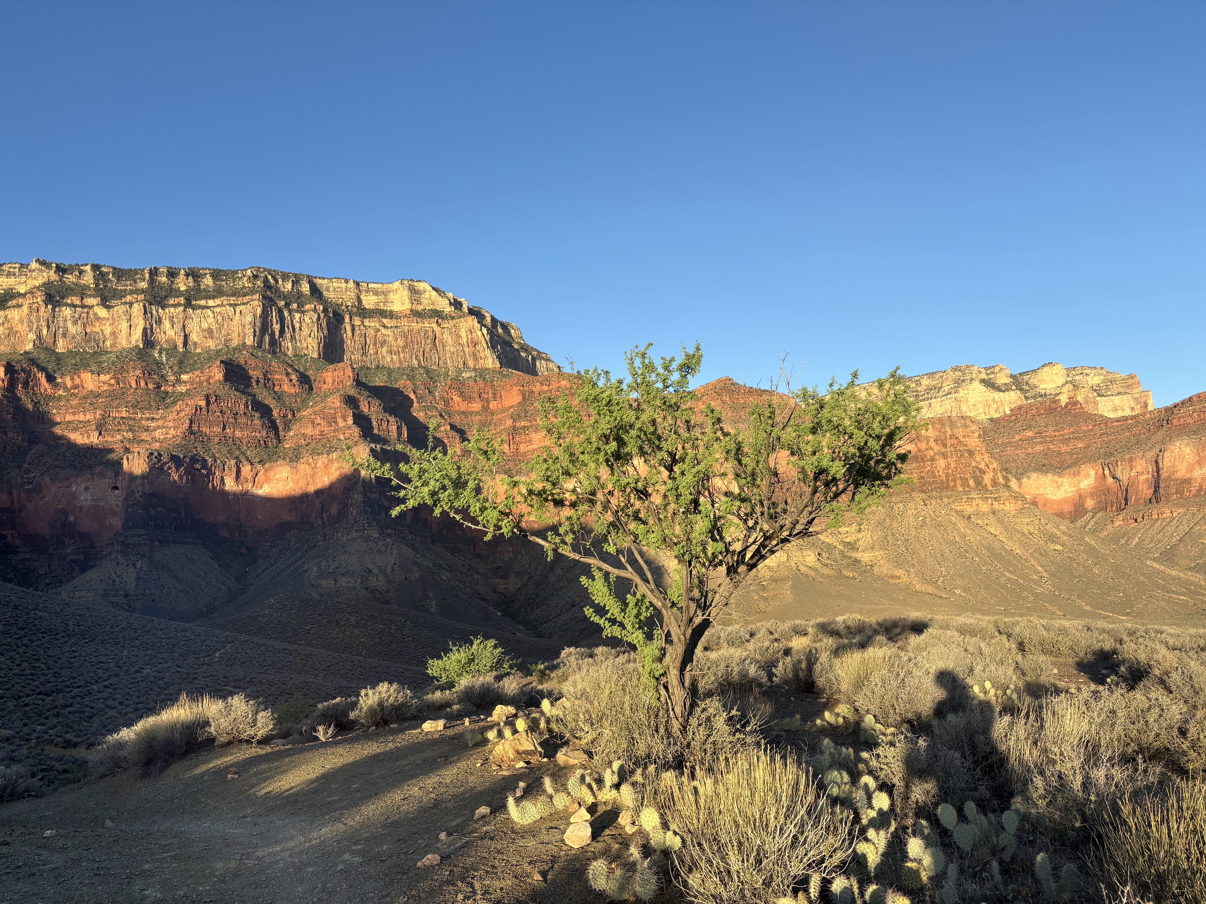 Tipoff at Dawn: Grand Canyon Trek Chapter 3
