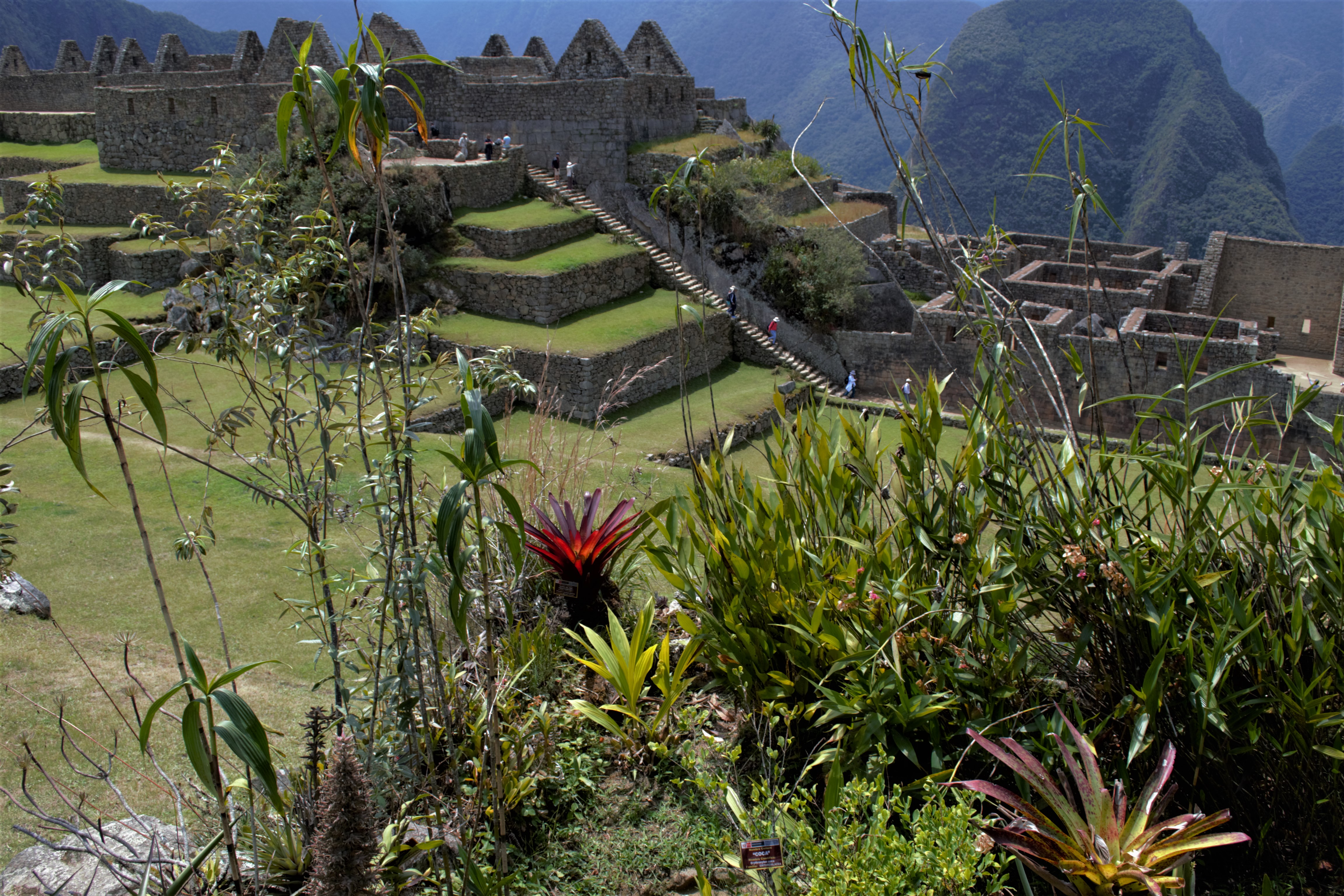 Machu Picchu: A Guided Tour Through a Modern Wonder of the World