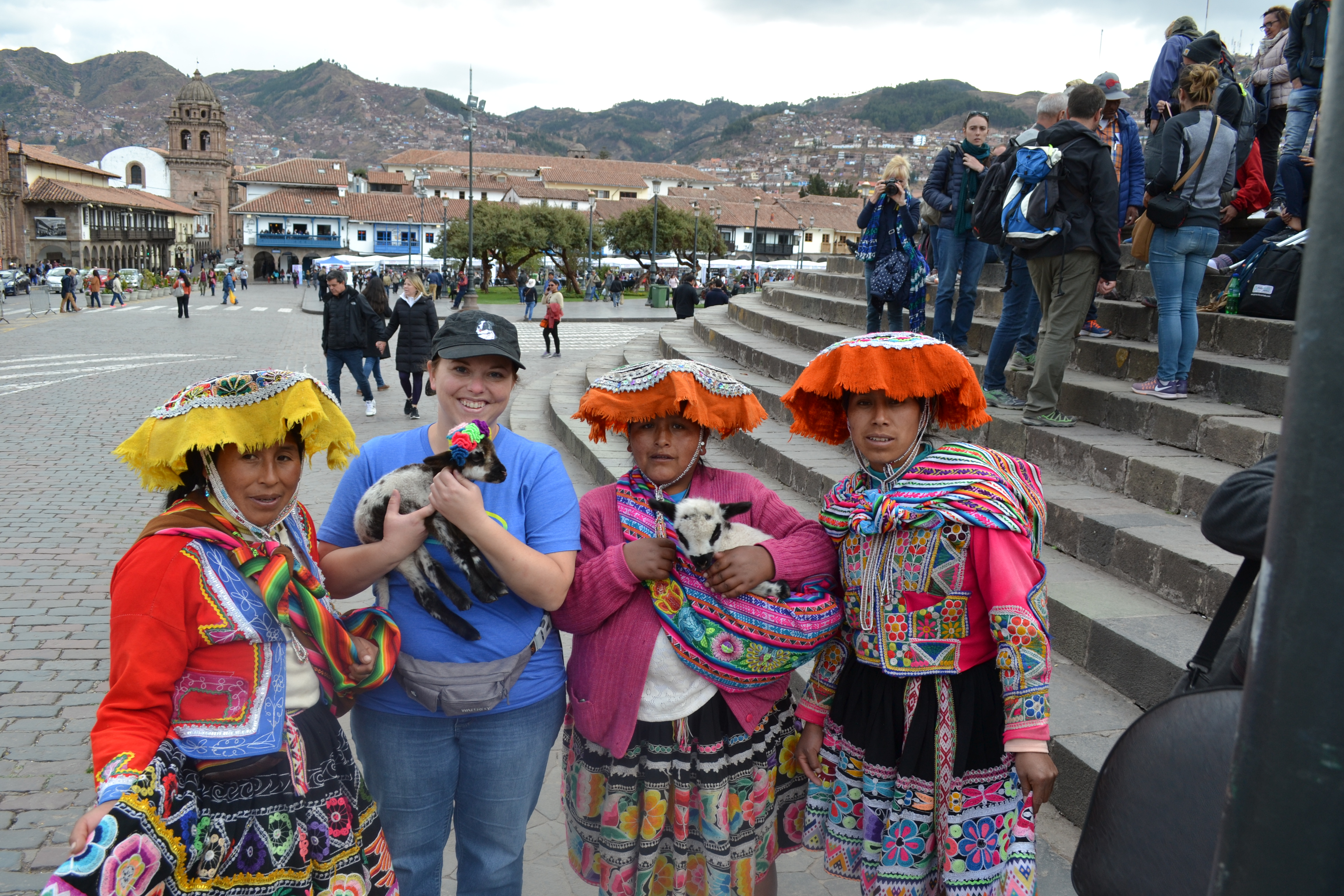 Baby Llamas in Cusco