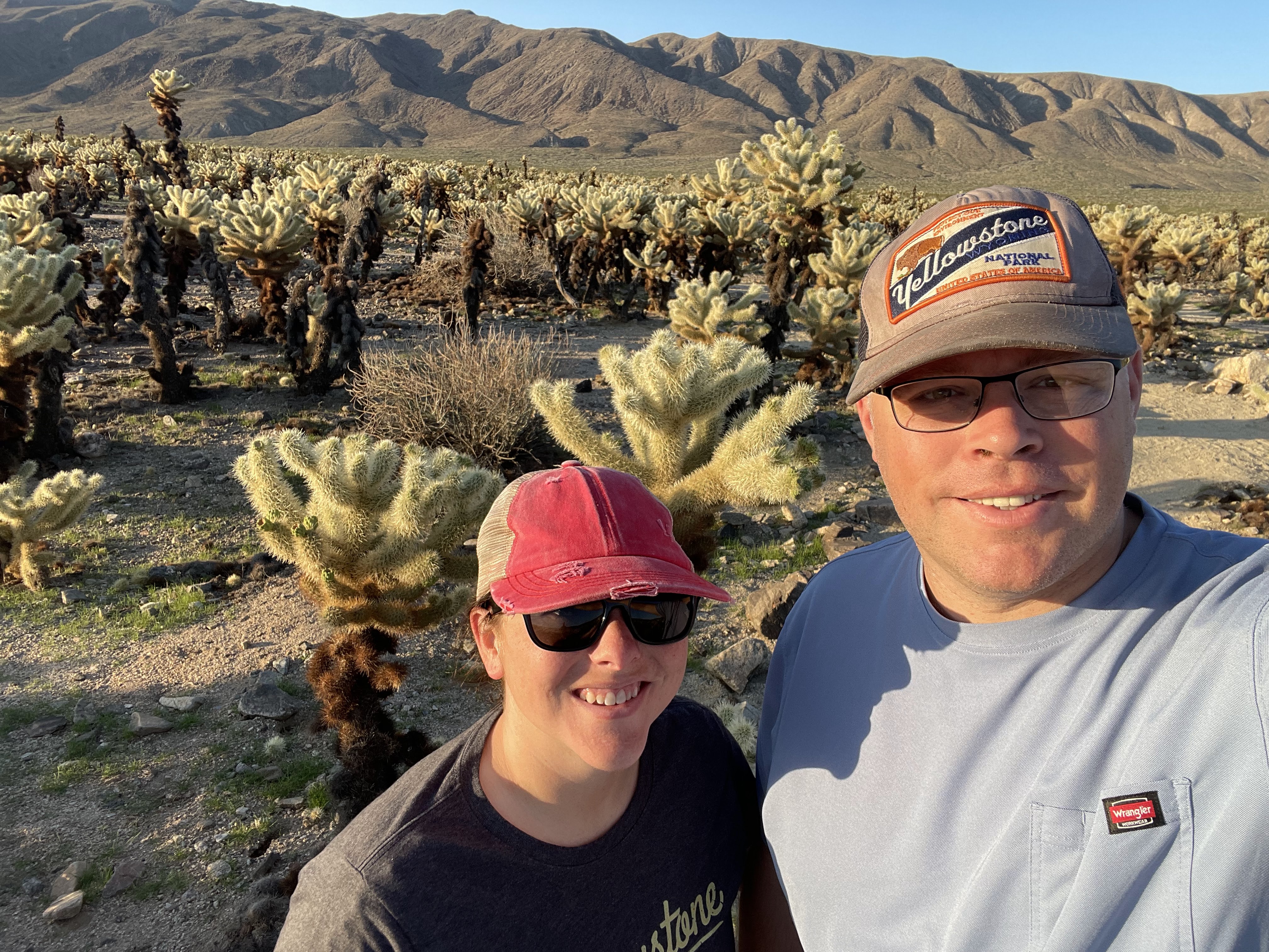 Joshua Tree in a Day