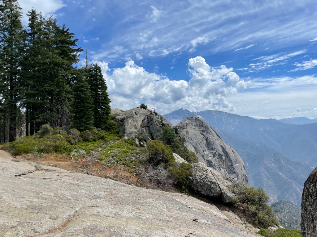 Sequoia National Park&nbsp;Basics
