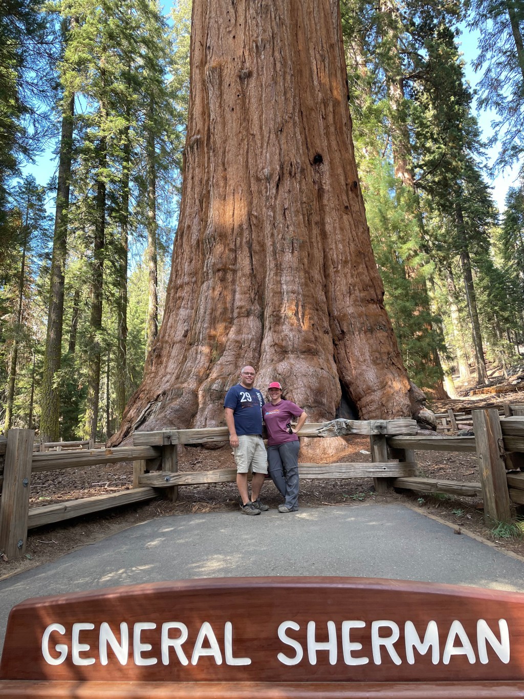 Sequoia National Park in a Day (and limited hiking)