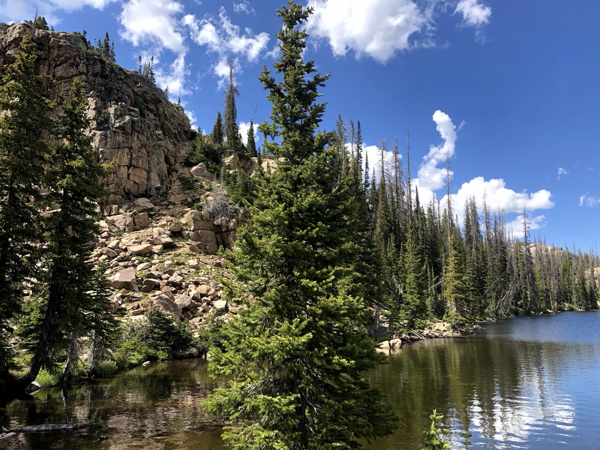 Camping Through the Years: From Newlyweds with a Puppy to Family Adventures with Kids