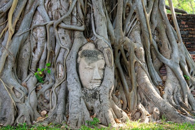 Bangkok Hidden Gems: How to Spend a Second Day
